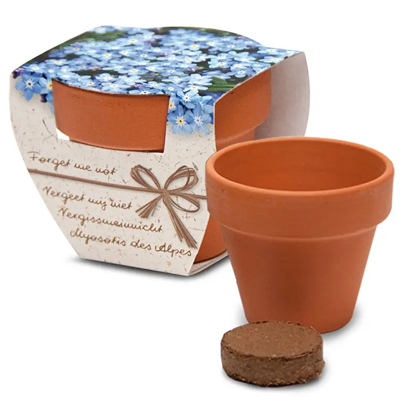 Terracotta potje in doosje - Afbeelding 5